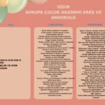 Iğdır Kreş, Iğdır Anaokulu