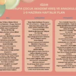 ığdır kreş, ığdır anaokulu, okul öncesi eğitim