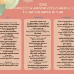 ığdır kreş, ığdır anaokulu, okul öncesi eğitim
