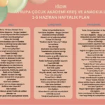 ığdır kreş, ığdır anaokulu, okul öncesi eğitim